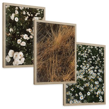 Zestaw obrazy w ramie, plakaty - kwiaty, rośliny, natura - rama drewno