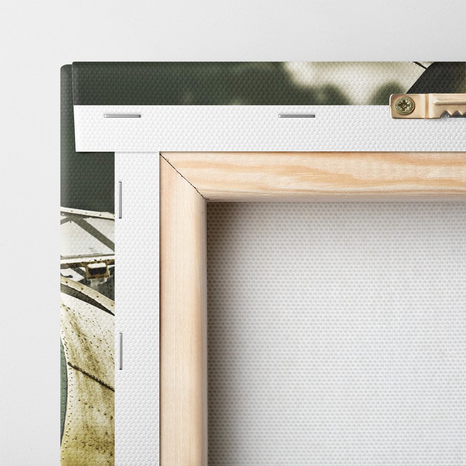 Obraz na płótnie - samolot, silnik, śmigło