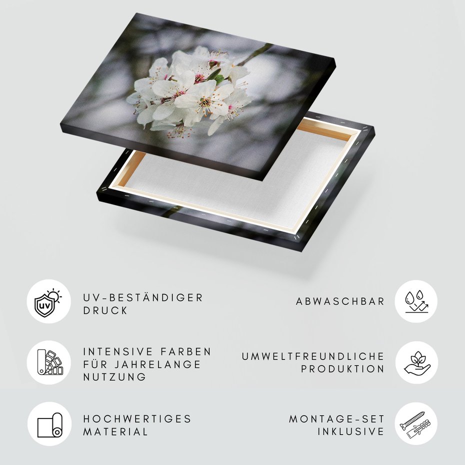 Obraz na płótnie - kwiaty, białe kwiaty, wiosna