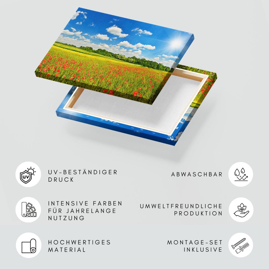 Obraz na płótnie - łąka, kwiaty, niebo