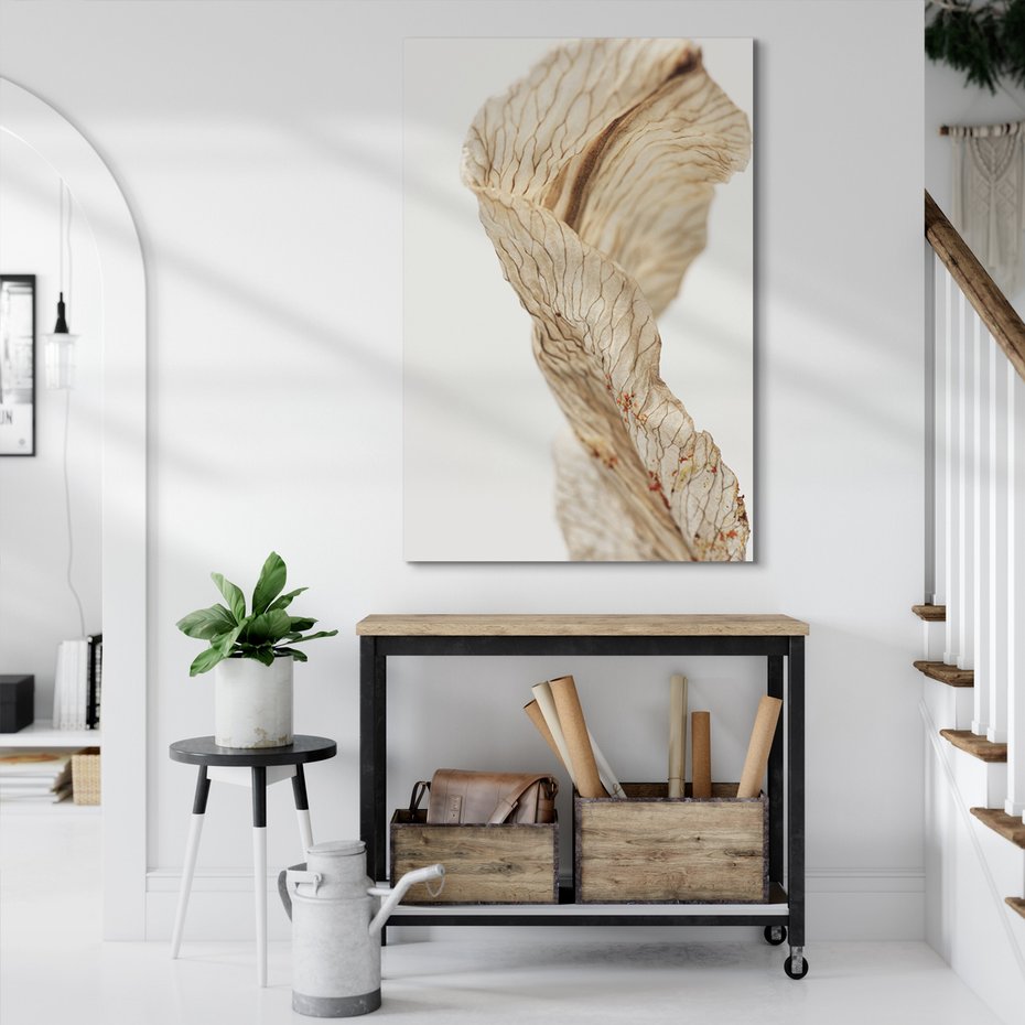 Obraz na płótnie - kwiat, suchy, abstrakcja