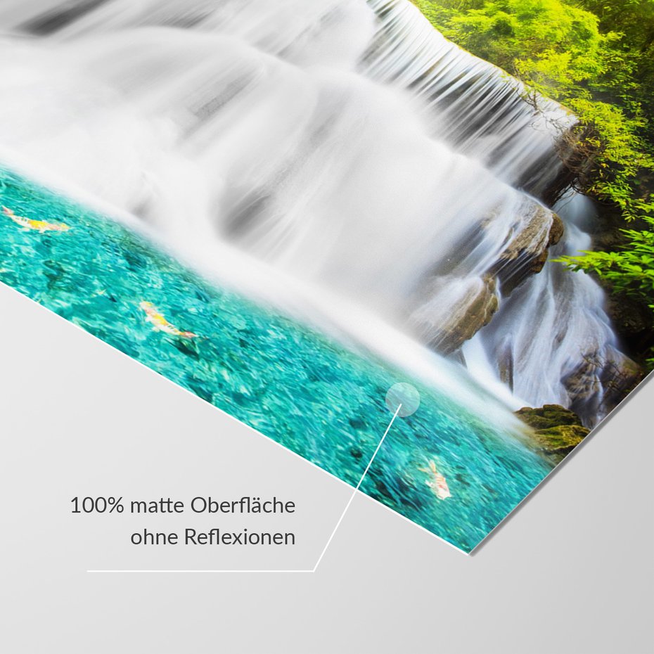 Fototapeta - wodospad, las, woda