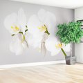 Fototapeta - kwiaty, orchidea, białe,