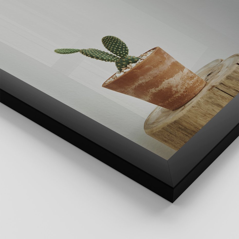 Zestaw obrazy w ramie, plakaty - kaktusy, sukulenty, rośliny - rama czarna