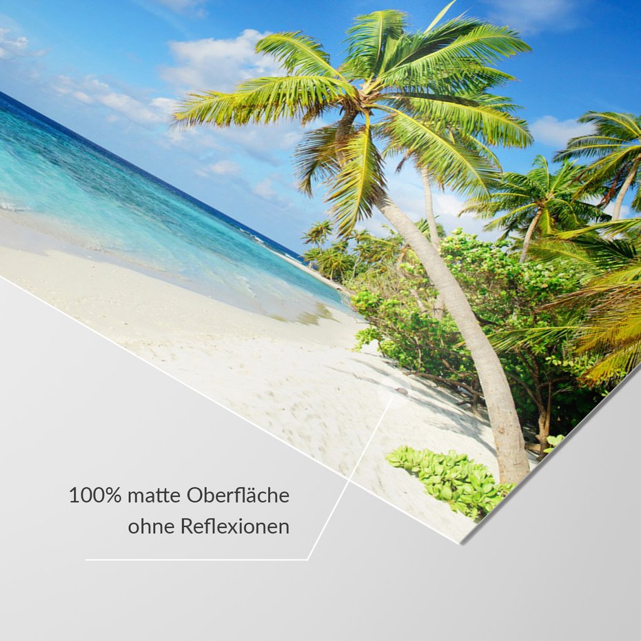 Fototapeta - palmy, plaża, morze