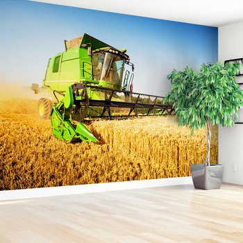 Fototapeta - żniwa, kombajn, pole