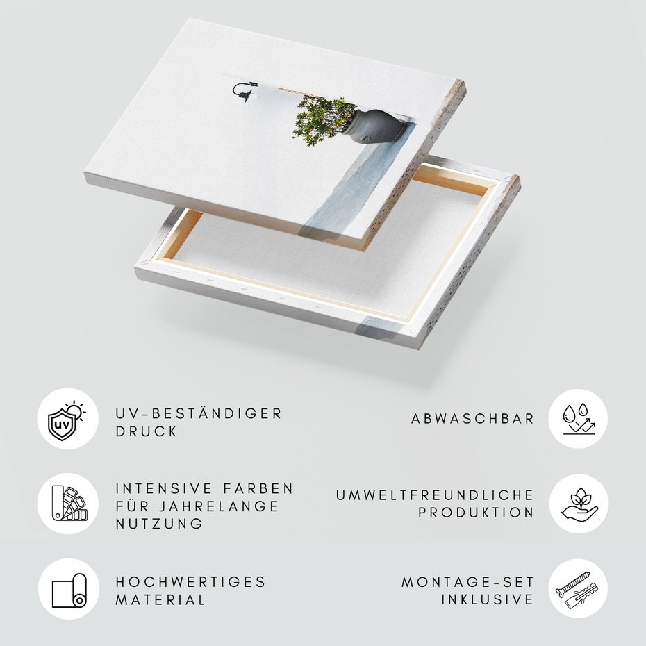 Obraz na płótnie - ściana, roślina, donica