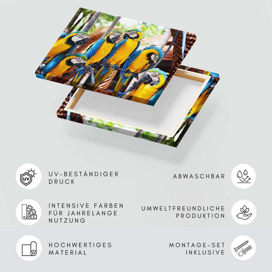 Obraz na płótnie - papugi, ary, tropikalne