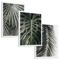 Zestaw obrazy w ramie, plakaty - liście, palmy, tropikalne - rama biała