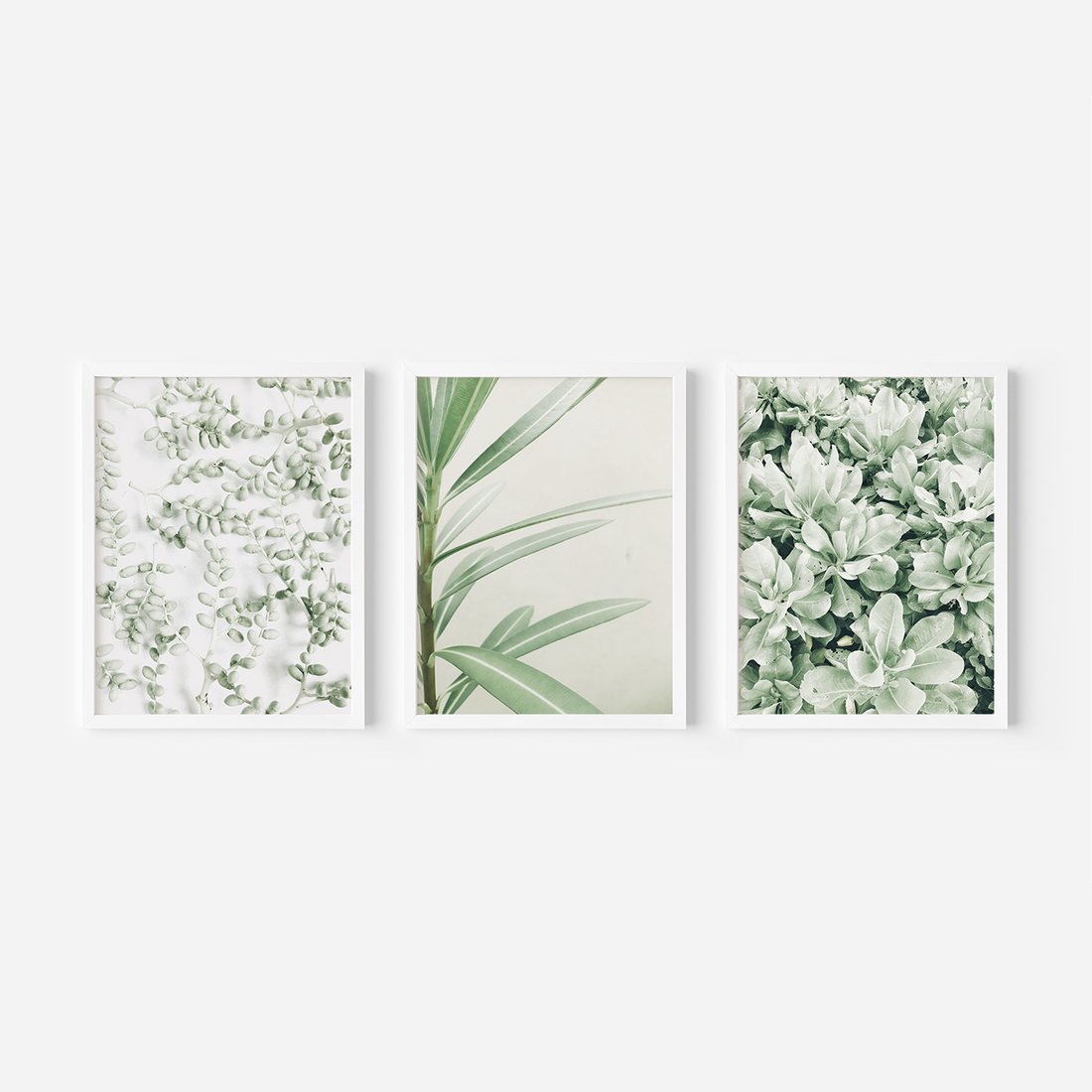 Zestaw obrazy w ramie, plakaty - liście, roślina, gałązka - rama biała