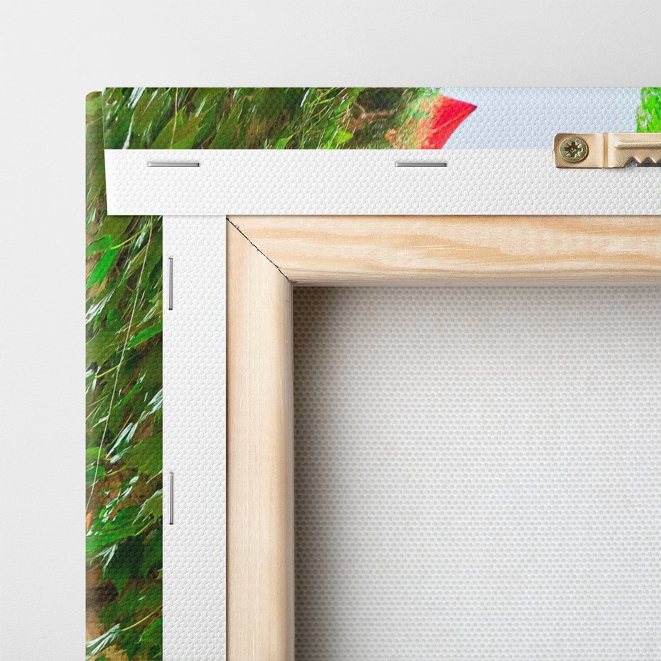 Obraz na płótnie - uliczka, kwiaty, roślinność