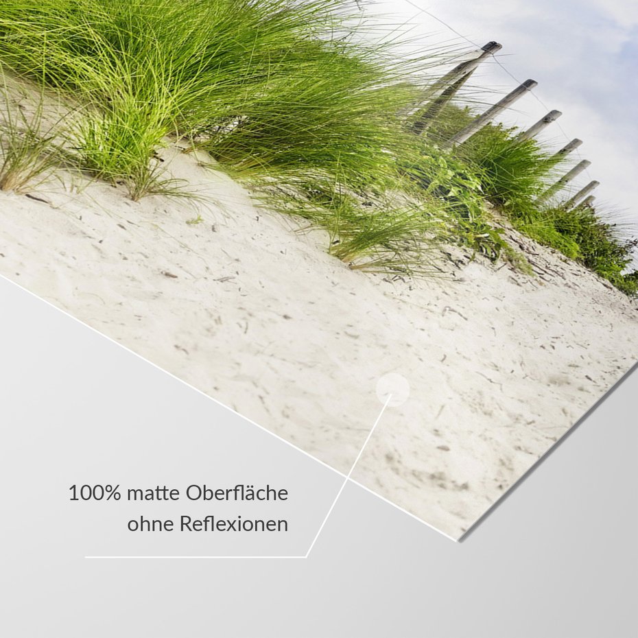 Fototapeta - wydma, trawa, plaża