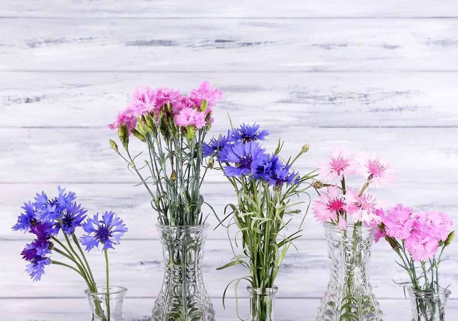 Fototapeta - kwiaty, wazon, kompozycja