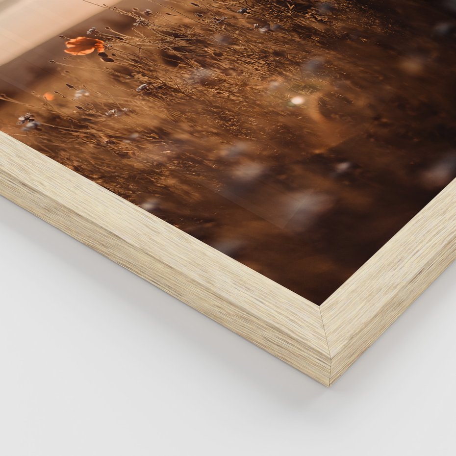 Zestaw obrazy w ramie, plakaty - pole, kwiaty, słońce - rama drewno