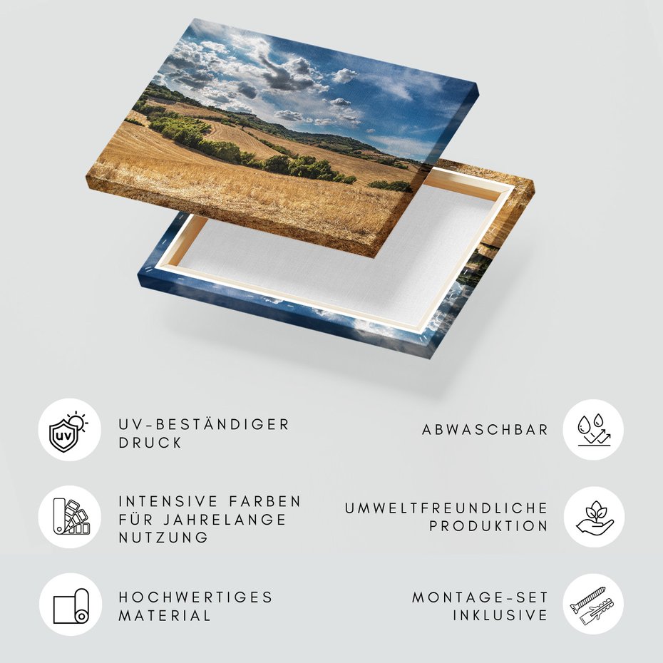 Obraz na płótnie - krajobraz, pola, niebo