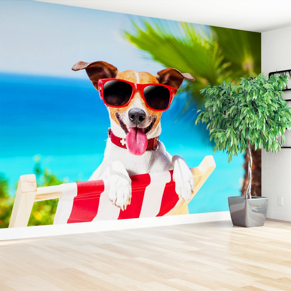 Fototapeta - pies, plaża, wakacje