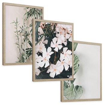 Zestaw obrazy w ramie, plakaty - rośliny, kwiaty, liście - rama drewno