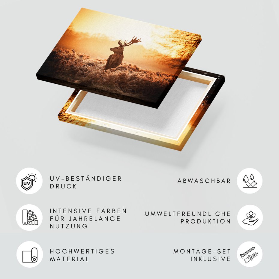 Obraz na płótnie - jeleń, natura, krajobraz