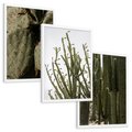 Zestaw obrazy w ramie, plakaty - kaktusy, rośliny, zielony - rama biała