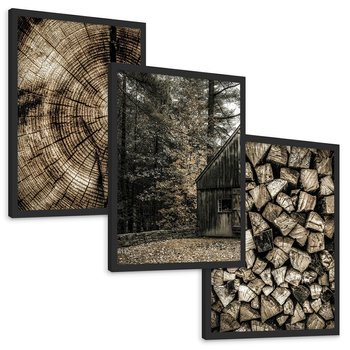 Zestaw obrazy w ramie, plakaty - drewno, kora, natura - rama czarna