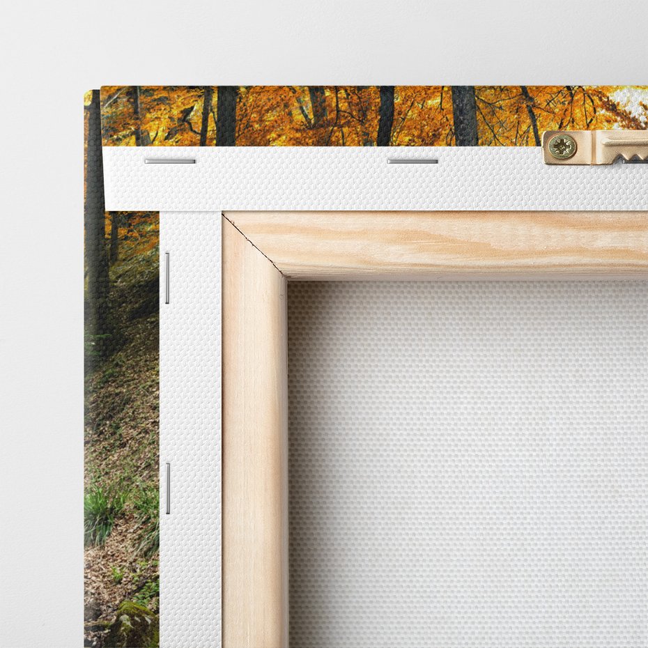 Obraz na płótnie - jesień, wodospad, las