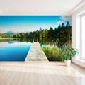 Fototapeta - jezioro, pomost, las