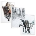 Zestaw obrazy w ramie, plakaty - bizon, łoś, zima - rama biała