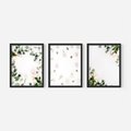 Zestaw obrazy w ramie, plakaty - kwiaty, liście, eukaliptus - rama czarna