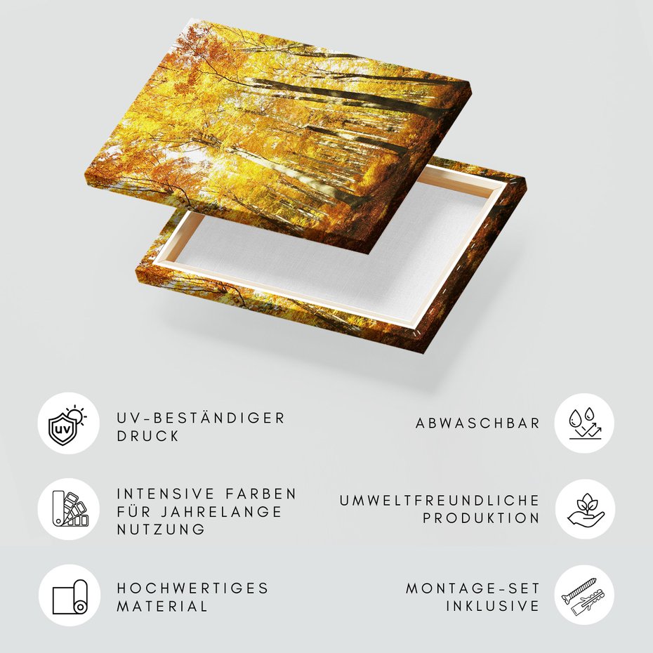 Obraz na płótnie - las, jesień, drzewa