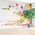 Fototapeta - orchidee, kwiaty, woda