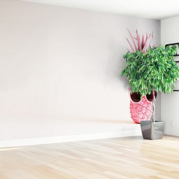 Fototapeta - ananas, różowy, okulary