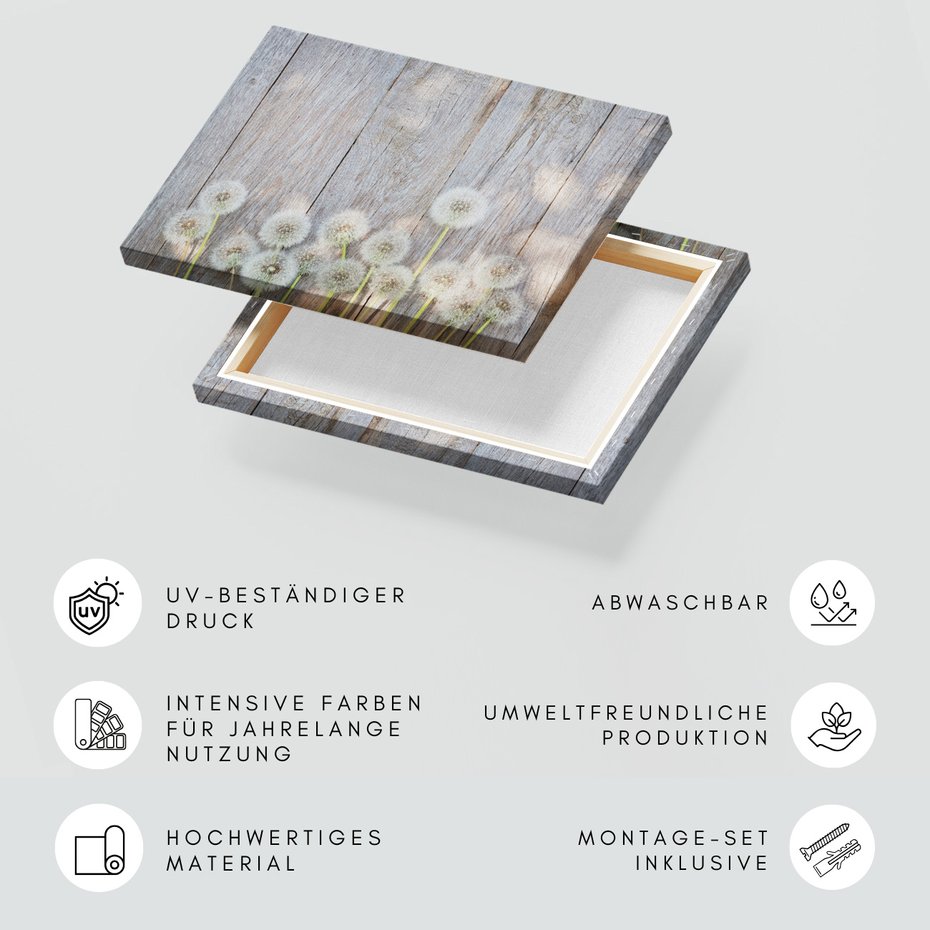 Obraz na płótnie - dmuchawce, drewno, natura