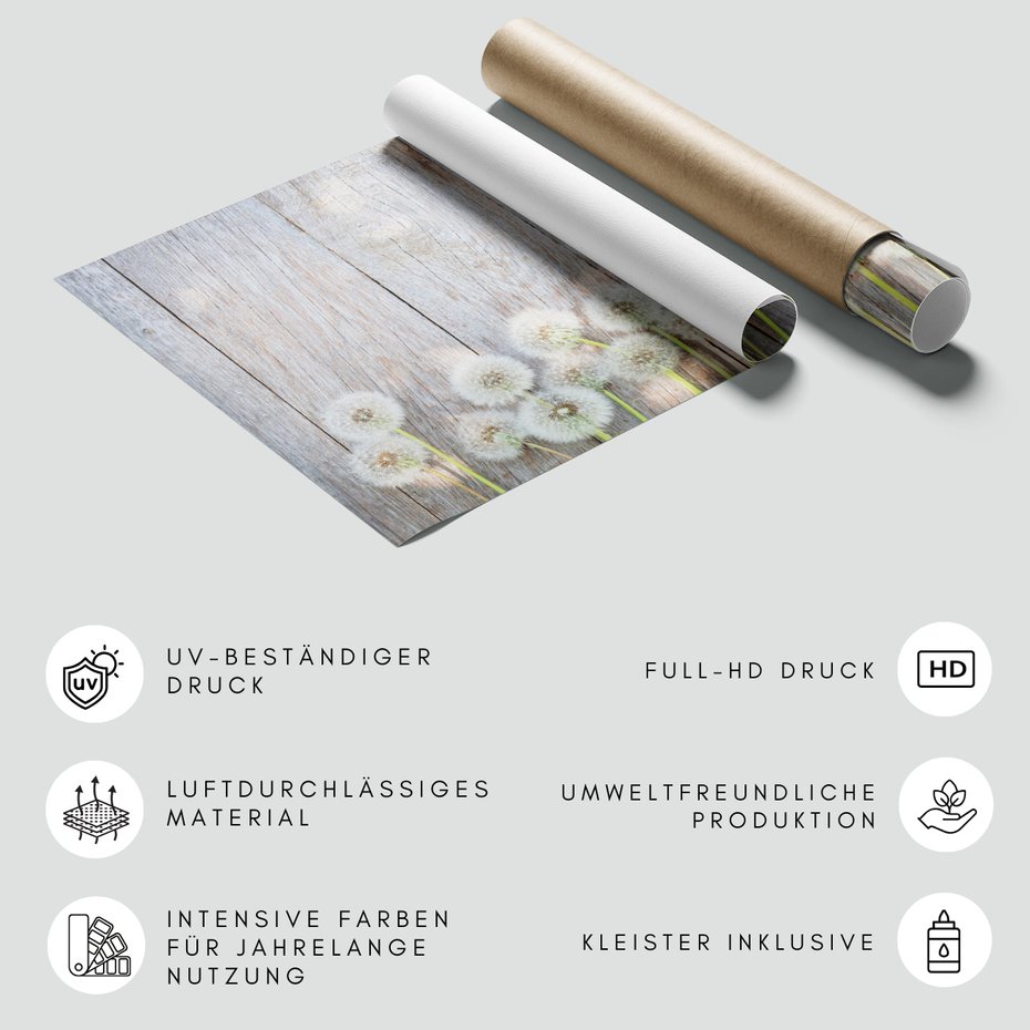 Fototapeta - dmuchawce, kwiaty, drewno