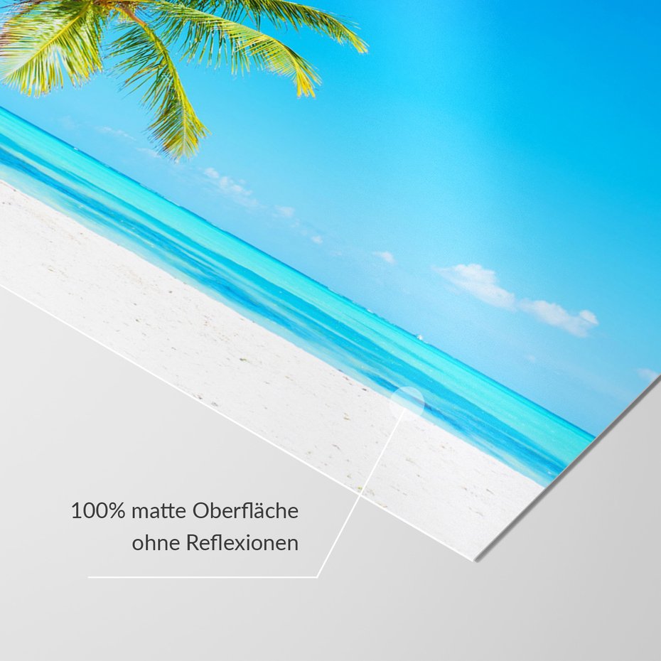 Fototapeta - palma, plaża, morze