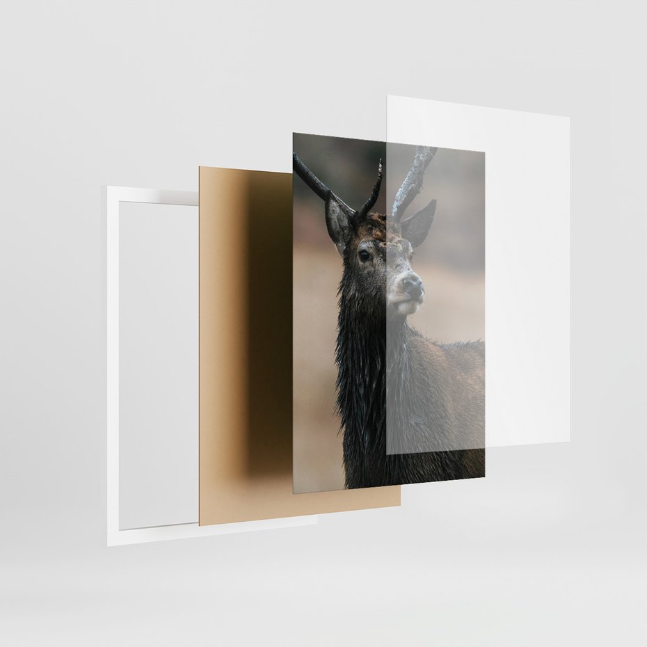 Zestaw obrazy w ramie, plakaty - las, drewno, natura - rama biała