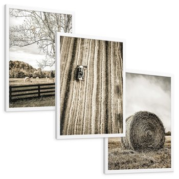 Zestaw obrazy w ramie, plakaty - wieś, pole, siano, - rama biała