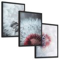 Zestaw obrazy w ramie, plakaty - dmuchawiec, natura, makro - rama czarna
