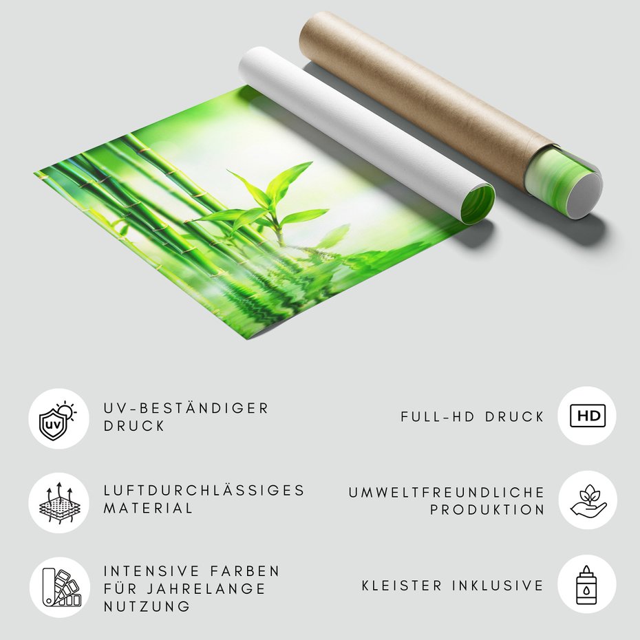 Fototapeta - bambus, woda, zieleń