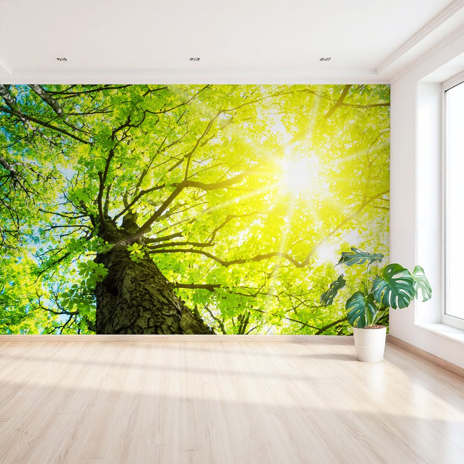 Fototapeta - las, drzewo, liście