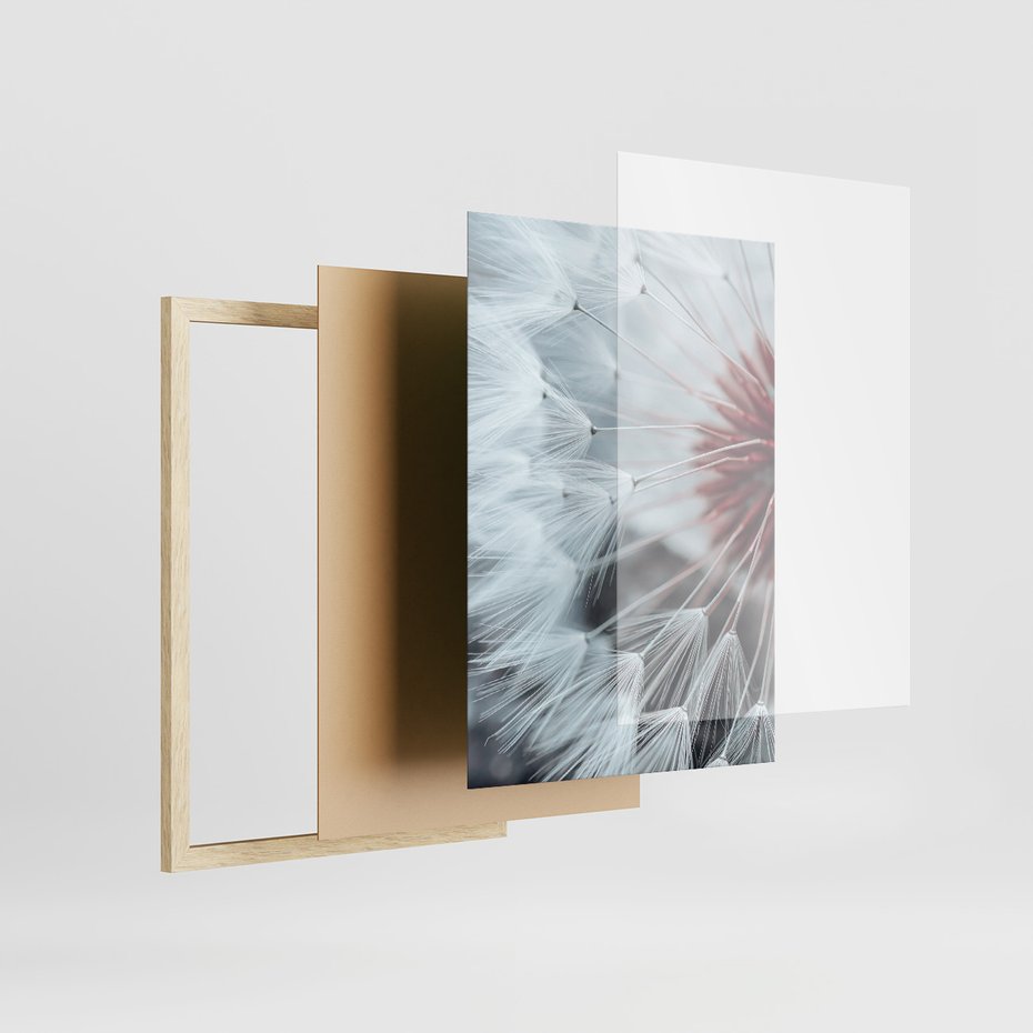 Zestaw obrazy w ramie, plakaty - dmuchawiec, natura, nasiona - rama drewno