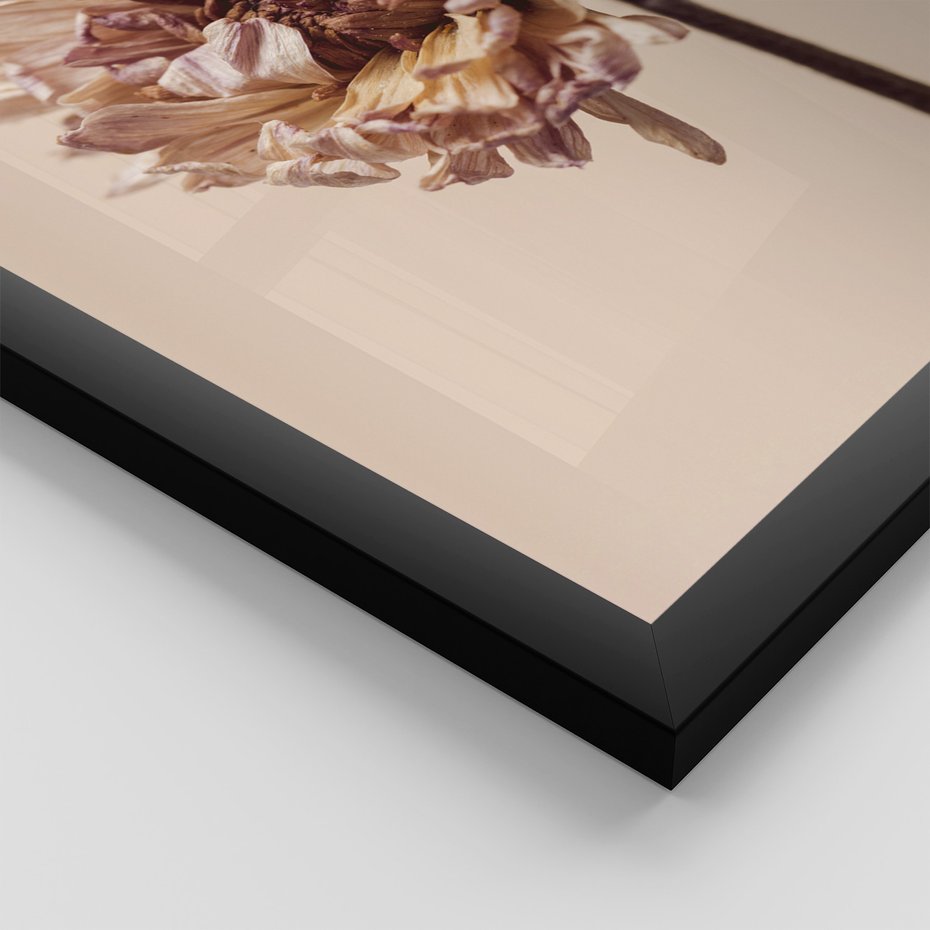 Zestaw obrazy w ramie, plakaty - liść, kwiat, suchy - rama czarna