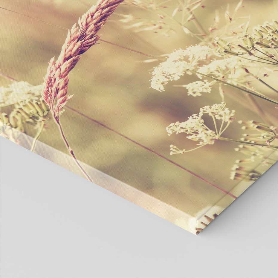 Obraz na płótnie - trawa, kwiaty, natura