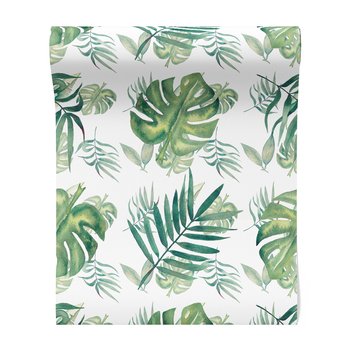 Tapeta - liście, monstera, natura