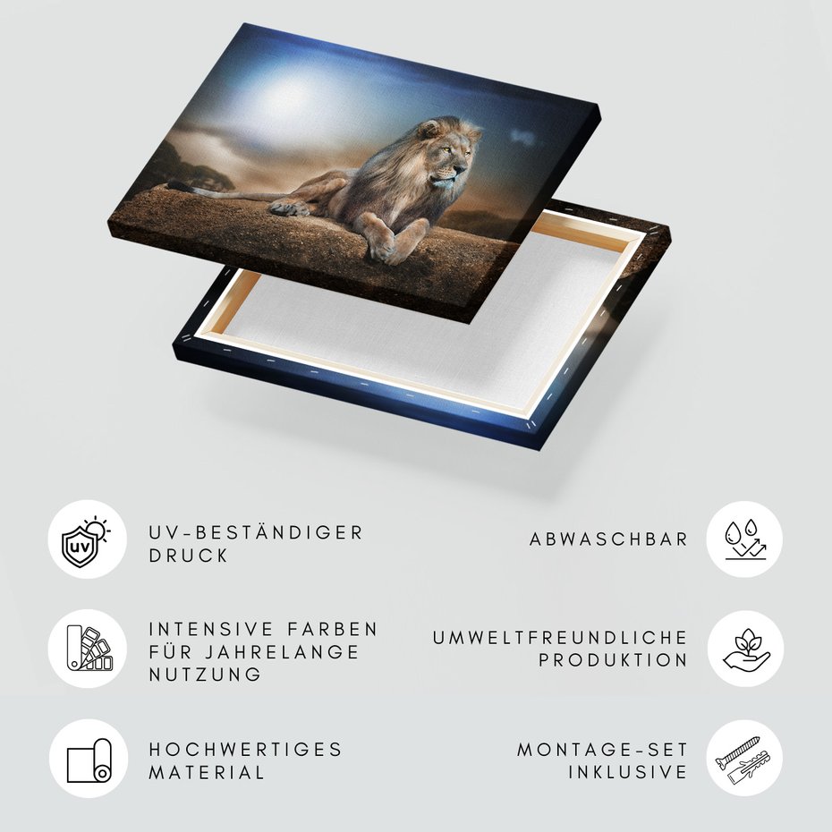 Obraz na płótnie - lew, kot, natura