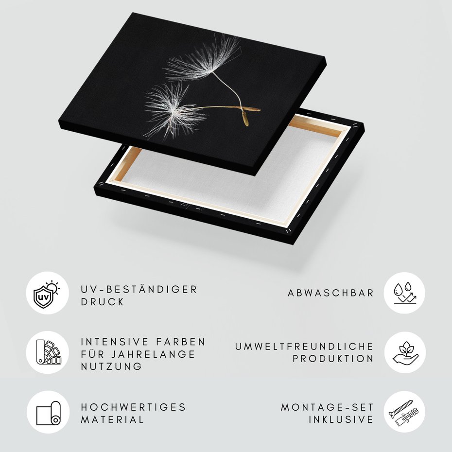 Obraz na płótnie - dandelion, nasiona, natura