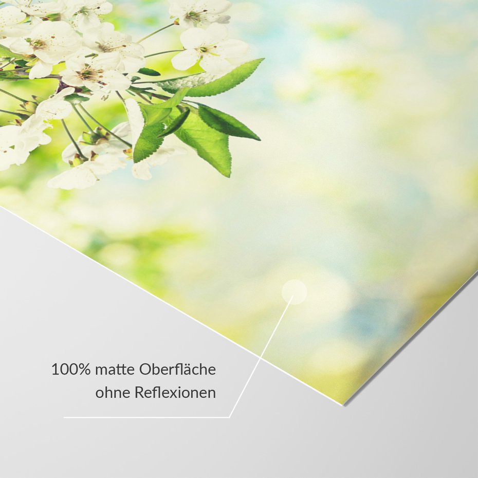 Fototapeta - kwiaty, wiosna, kwitnienie