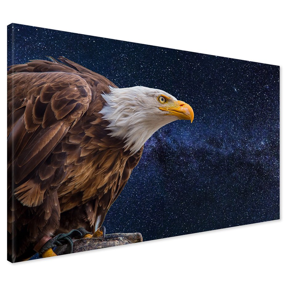 Obraz na płótnie - orzeł, ptak, gwiazdy