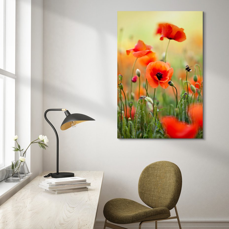 Obraz na płótnie - maki, kwiaty, lato