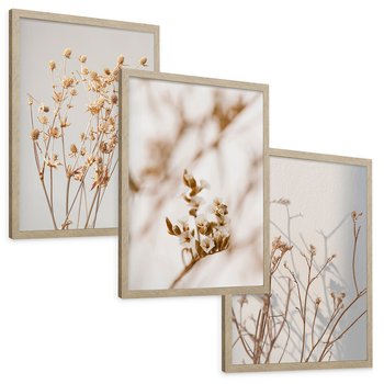 Zestaw obrazy w ramie, plakaty - kwiaty,rośliny,suszone, - rama drewno