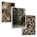 Zestaw obrazy w ramie, plakaty - drewno, kora, natura - rama biała
